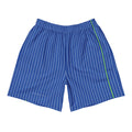 Cobalt Session Shorts with fine white vertical lines and one green line down the leg, front view